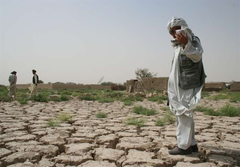 تأثیرات مرگبار خشکسالی؛ از کمبود غذا تا بحران آب