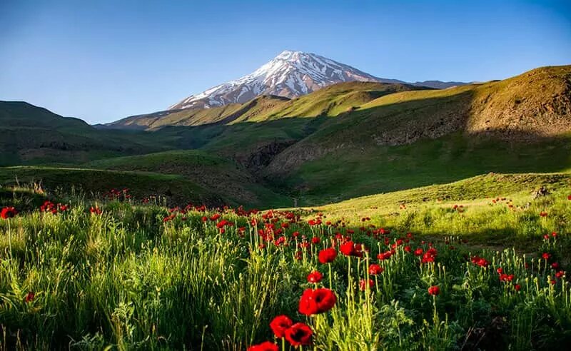 سفر یک‌روزه اطراف تهران کجا برویم؟/ ۶ مقصد رویایی در فصل پاییز