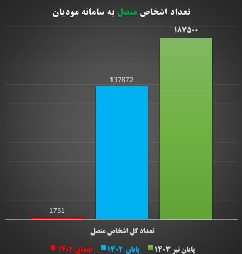 مالیات , فرار مالیاتی , 