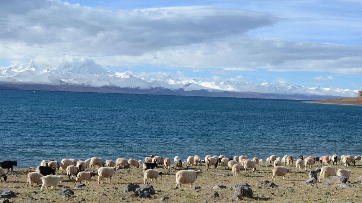 زندگی جذاب عشایر بام جهان