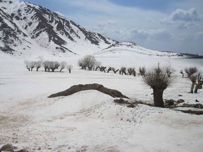 پاتوق برف بازان تهران اینجاست