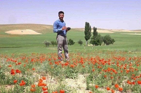 سینمای مستند “بو”دار می شود؟/چشمک به سیمرغ فجر از قلب روستا