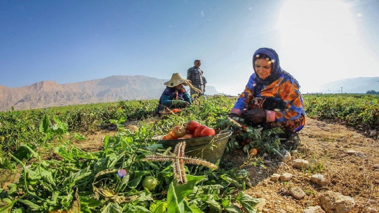 صندوق‌های حمایت از زنان روستایی تقویت می‌شوند