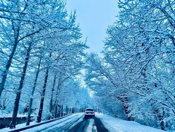 بارش برف شهرستان نطنز