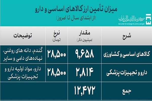 دلار‌های دولتی برای واردات کالا‌های اساسی و دارو کجا رفت؟ / ارز‌های دولتی هم زورشان به افزایش قیمت نرسید